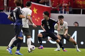 国内舞台上